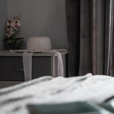 House Toula Elegant 公寓 萨尔蒂