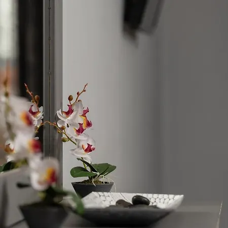 House Toula Elegant 사르티
