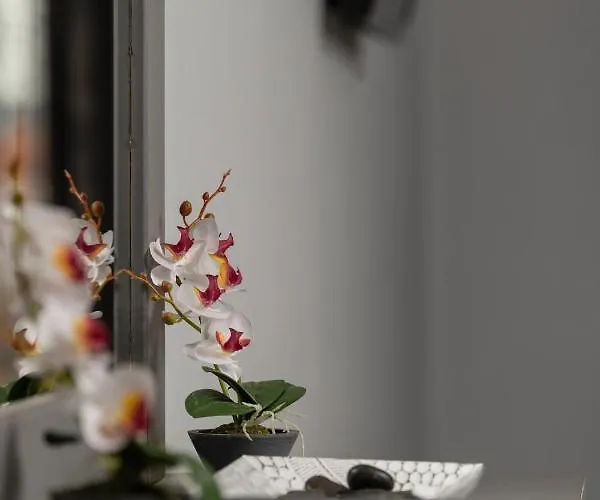 House Toula Elegant Сарти