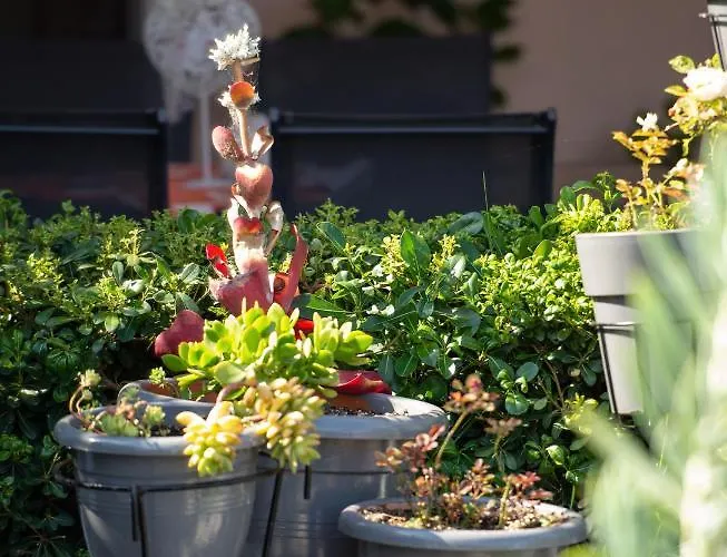 Appartement House Toula Elegant